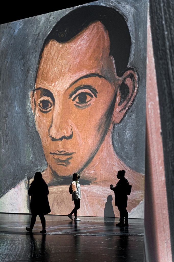 Imagine Picasso. The Picasso Experience
